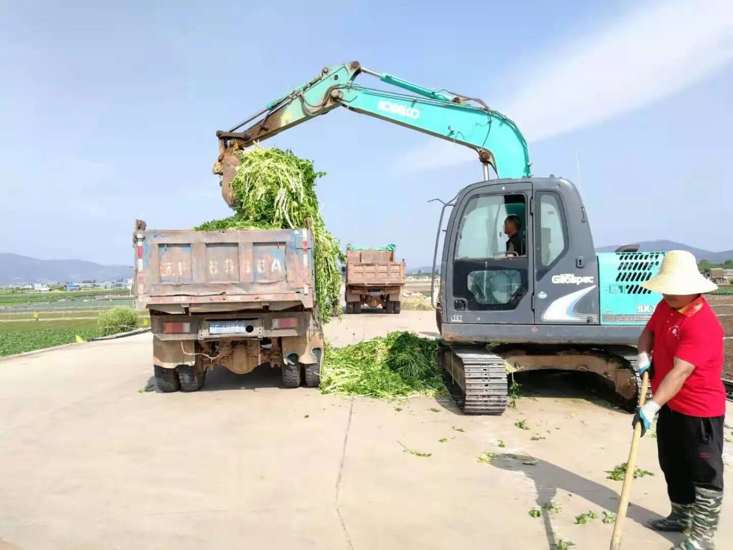 26.2.14.jpg 26.2.14.jpg