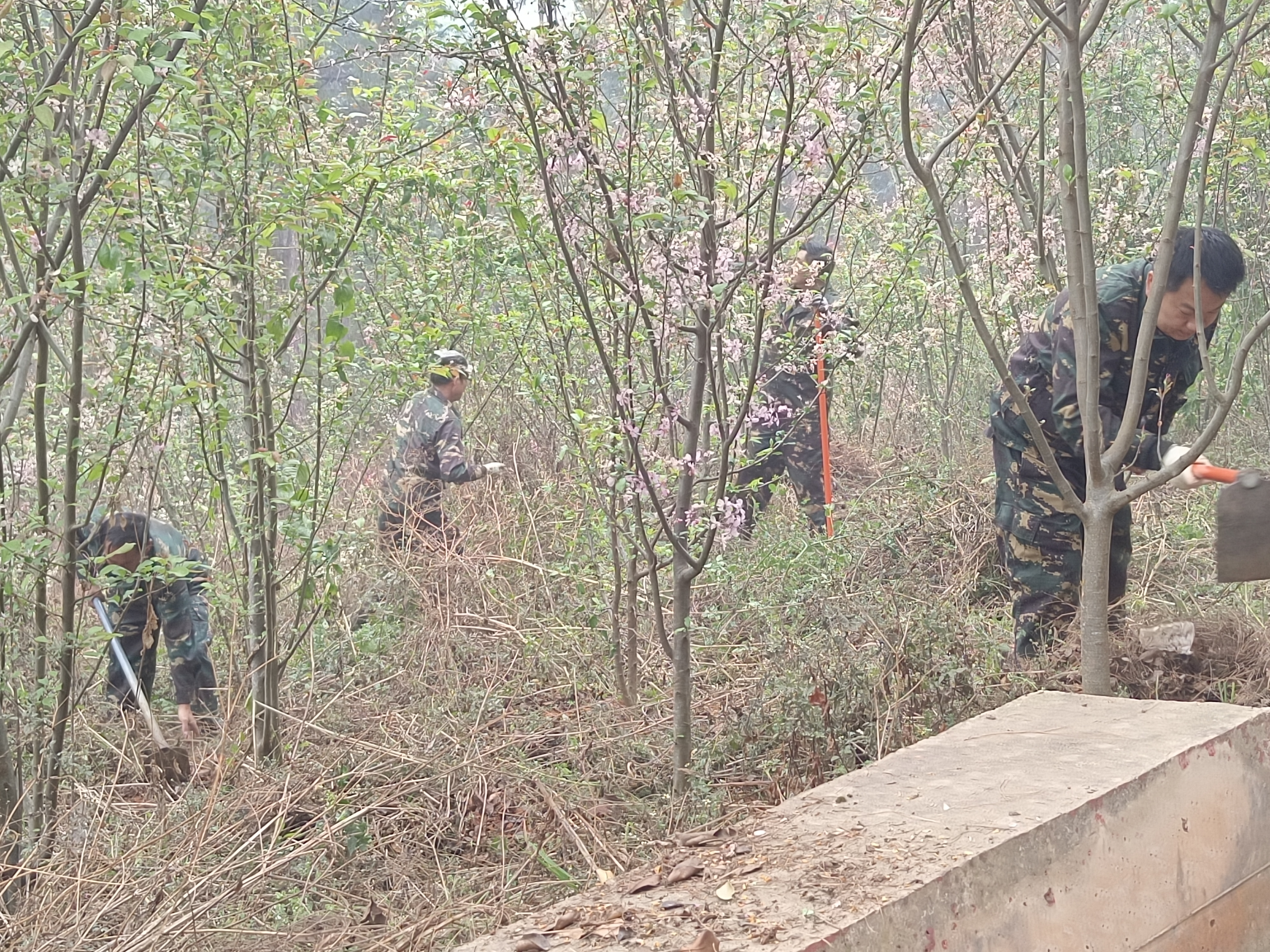 微信图片_20260326141227_194_446.jpg 微信图片_20260326141227_194_446.jpg