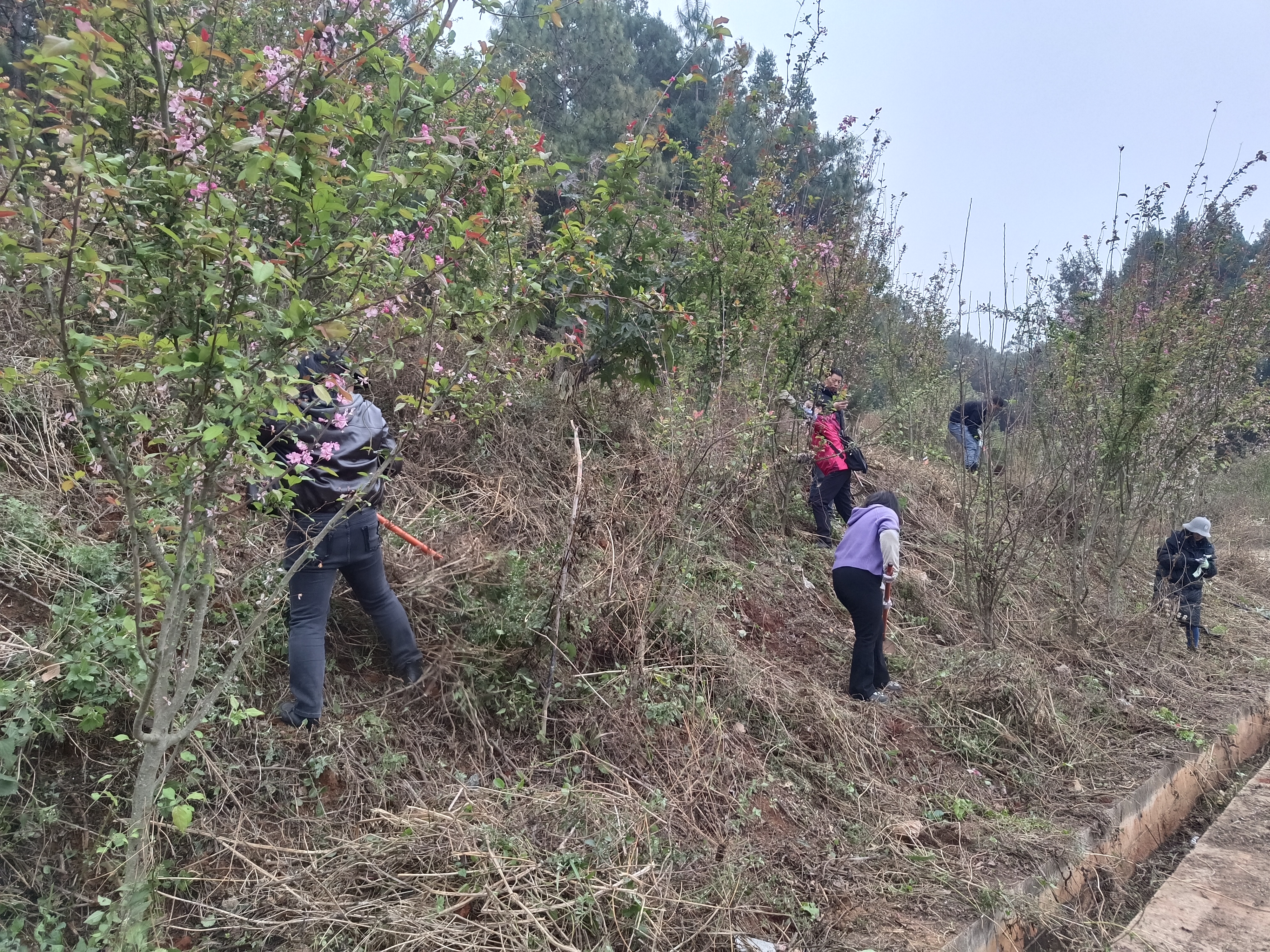 微信图片_20260326141225_192_446.jpg 微信图片_20260326141225_192_446.jpg