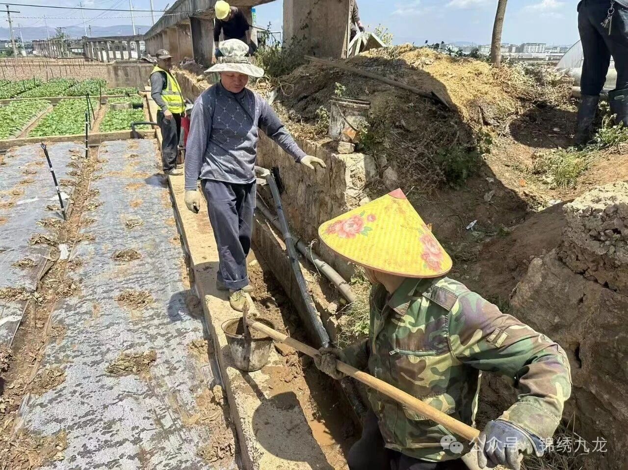 微信图片_2026-04-08_152345_344.jpg 微信图片_2026-04-08_152345_344.jpg